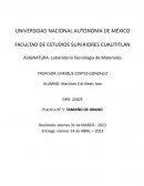 Practica N° 5: Tamaño de grano