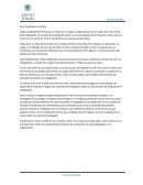 Caso Empresas La Coralia