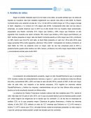 Analisis de ratios CCU