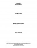 Ensayo revisoría fiscal