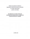 Influencia de la planta chocolata (catharanthus roseus) para el aumento de globulos rojos en la sangre