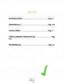 Ensayo sobre el control en las empresas