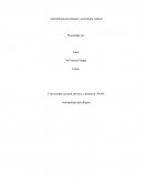 Antropología psicológica y psicología cultural