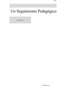 Un Seguimiento Pedagógico