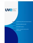 Disciplinas internas de la Antropología