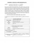 Informe Nº1 Prácticas pre profesionales