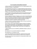 Yo en la Ingeniería: Entrega Módulo Avenida IIT