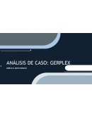 Análisis de Caso Gerplex
