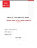 Evaluación del caso “Por qué el mall del muelle Barón es inviable”