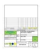 Plan anual de seguridad y salud en el trabajo