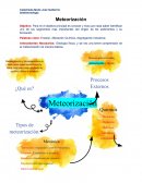 Trabajo de investigacion 1 Sedimentología