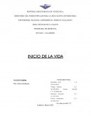 Inicio de la vida: Dilema Ético