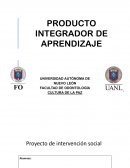 Proyecto de intervención solcial