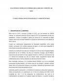 Diagnostico operativo empresarial. Mina