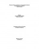 Resumen Video Los Esenios, la Comunidad de Qumrán y las Sectas en el Judaísmo