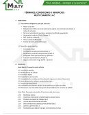 Términos y condiciones Multy Chambita S.A.C