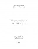 Informe De Química (Separación de mezclas)