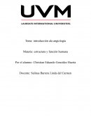 Introducción a la angiología