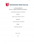 Principios generales del derecho