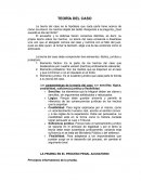 Teoría del caso