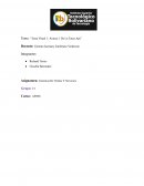 Tarea Vitual 1: Avance 1 De La Tarea Ape