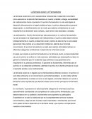 La farmacia social y el Farmacéutico