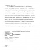 Ensayo gestión documental