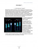 Ensayo teorías y sistemas en psicología