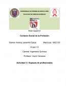 Contexto Social de la Profesión