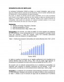 Segmentacion de Mercado empresa Purificadora OASIS