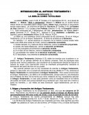 La Biblia como totalidad