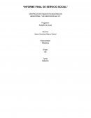 Informe final de servicio social