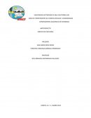 Anteproyecto Servicio de papeleria