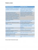 Sistema motor