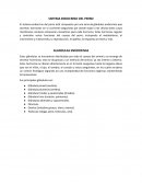 Sistema endocrino del perro