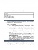 Actividades: Internacionalización de negocios