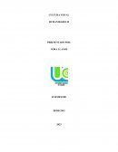 Cultura visual Humanidades II