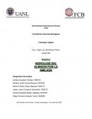 Hidrolisis del almidon por la amilasa