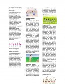 El saque en voleibol