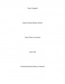 Infografia.Deterioro de una Escuela