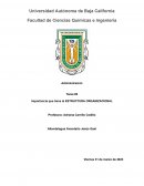 Importancia de la estructura organizacional