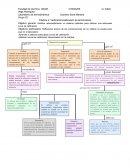 Verificación/calibración de termómetros