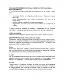 Fundamentos de Derecho Penal y Derecho Procesal Penal. Marco normativo