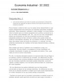 Resumen de economía industrial