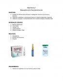 Bloqueadores de la Placa Neuromuscular