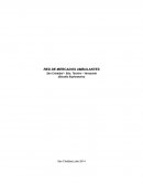 Red ambulante de mercados en Venezuela