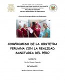 Compromiso de la obstetra peruana con la realidad sanitaria del Perú