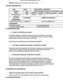 Analizando la formación del cráter lunar