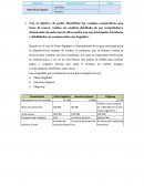 Marketing Integral . Caso de Chase Sapphire