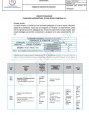 Formato proyecto docente
